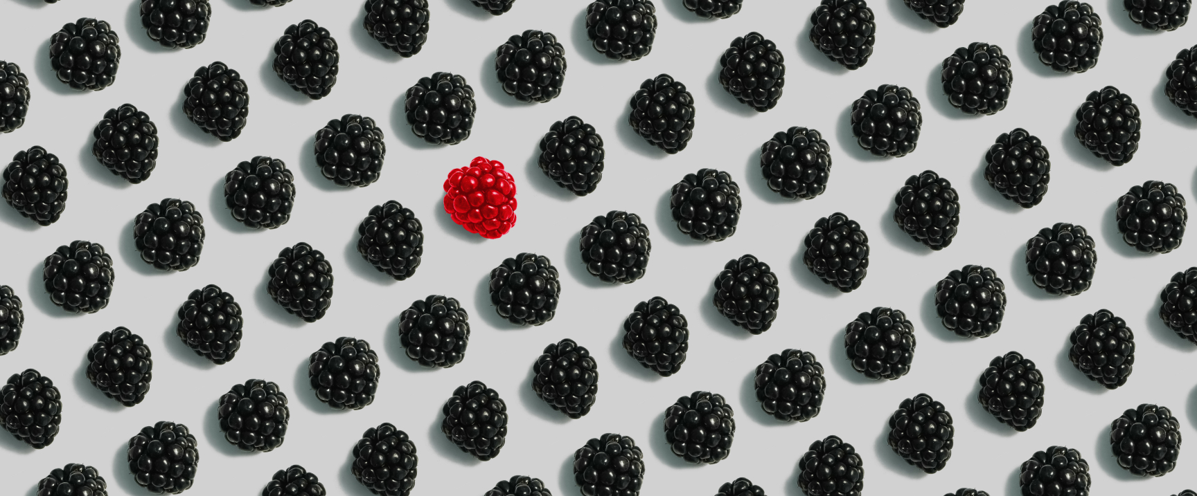 black berries and one red berry